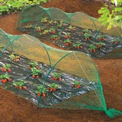 Anti birds net for vegetable garden - 2 x 5 m